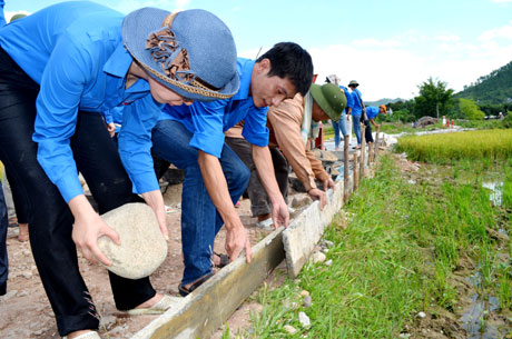 Volunteers join hands to build new rural areas